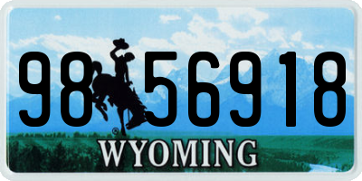 WY license plate 9856918