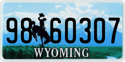 WY license plate 9860307