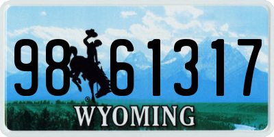 WY license plate 9861317