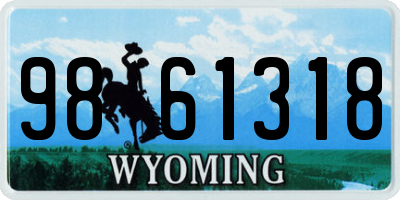 WY license plate 9861318