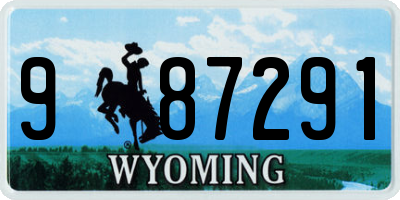 WY license plate 987291