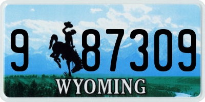 WY license plate 987309