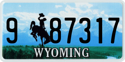WY license plate 987317