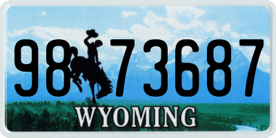 WY license plate 9873687