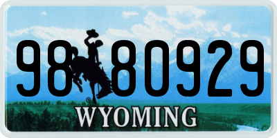 WY license plate 9880929