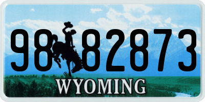 WY license plate 9882873