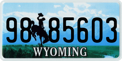 WY license plate 9885603