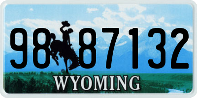 WY license plate 9887132