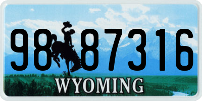 WY license plate 9887316