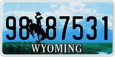 WY license plate 9887531