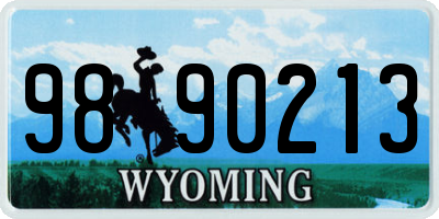 WY license plate 9890213
