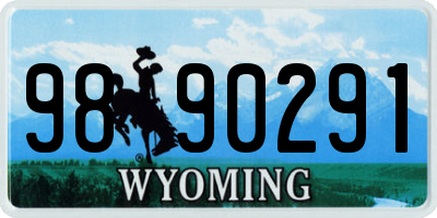 WY license plate 9890291