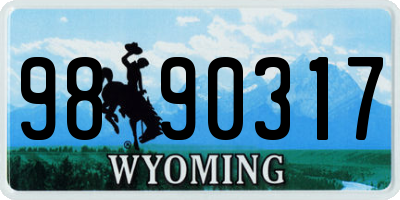 WY license plate 9890317