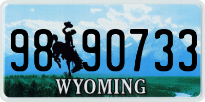 WY license plate 9890733