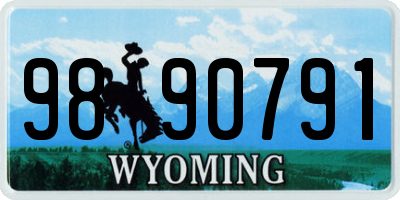 WY license plate 9890791