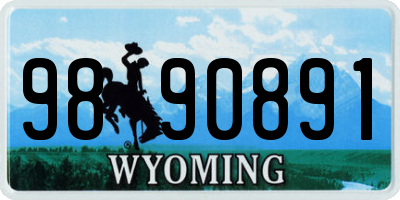 WY license plate 9890891