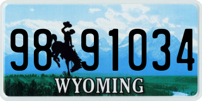 WY license plate 9891034