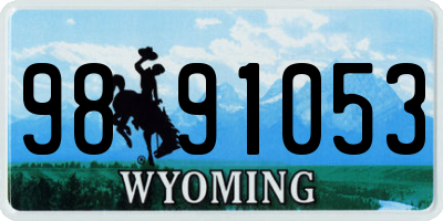 WY license plate 9891053