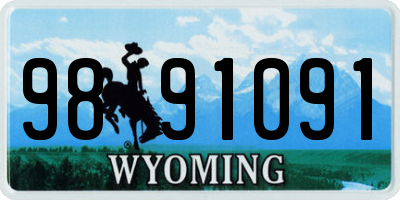 WY license plate 9891091
