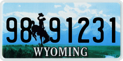 WY license plate 9891231