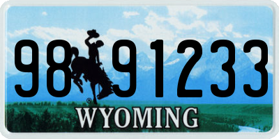 WY license plate 9891233