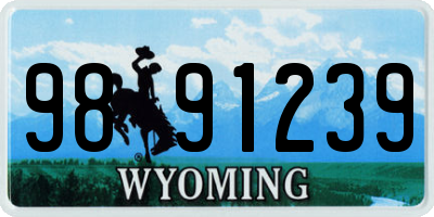WY license plate 9891239