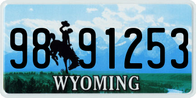 WY license plate 9891253
