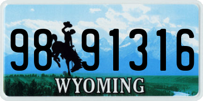 WY license plate 9891316
