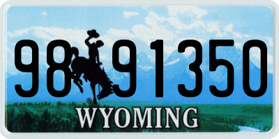 WY license plate 9891350