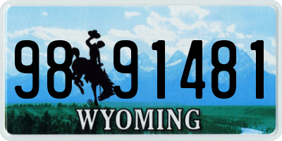 WY license plate 9891481