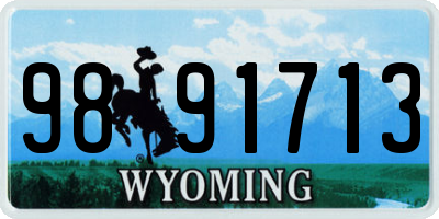 WY license plate 9891713