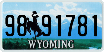 WY license plate 9891781