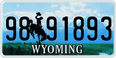 WY license plate 9891893