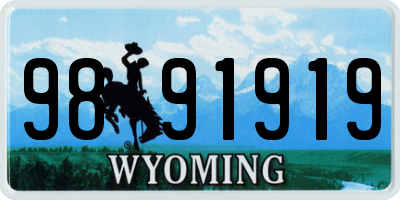 WY license plate 9891919