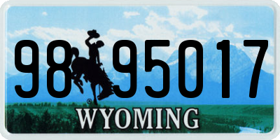 WY license plate 9895017