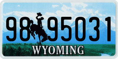 WY license plate 9895031