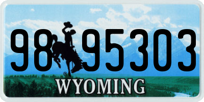 WY license plate 9895303