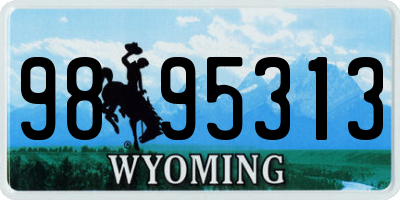 WY license plate 9895313
