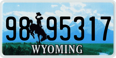 WY license plate 9895317