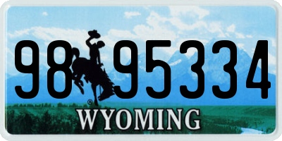 WY license plate 9895334