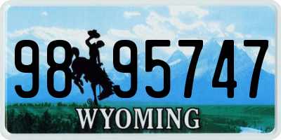 WY license plate 9895747