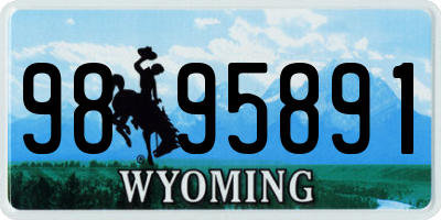 WY license plate 9895891