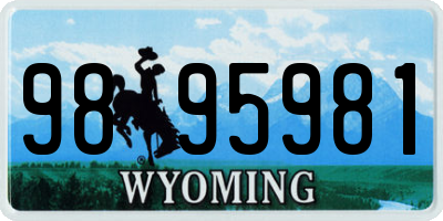 WY license plate 9895981