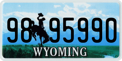 WY license plate 9895990