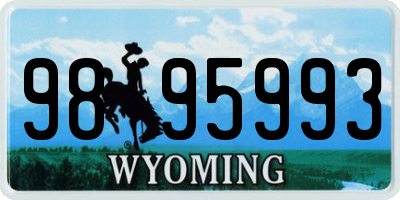 WY license plate 9895993