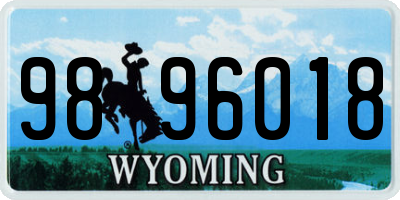 WY license plate 9896018