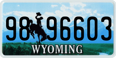 WY license plate 9896603