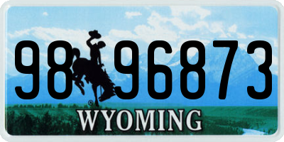 WY license plate 9896873