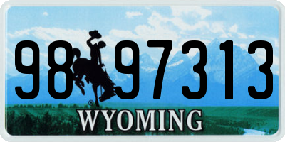 WY license plate 9897313