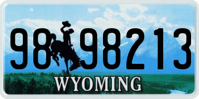 WY license plate 9898213